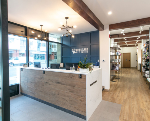 Bridgeland Vet Clinic office design